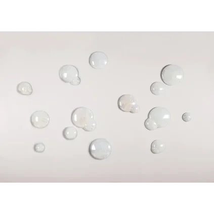 BUBBLESS WEB
