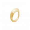 EUPH LASKA RIN AG G (2)