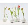 TABLO CIBULKA group tulips 4x3 web