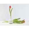 TABLO CIBULKA white tulips 4x3 web